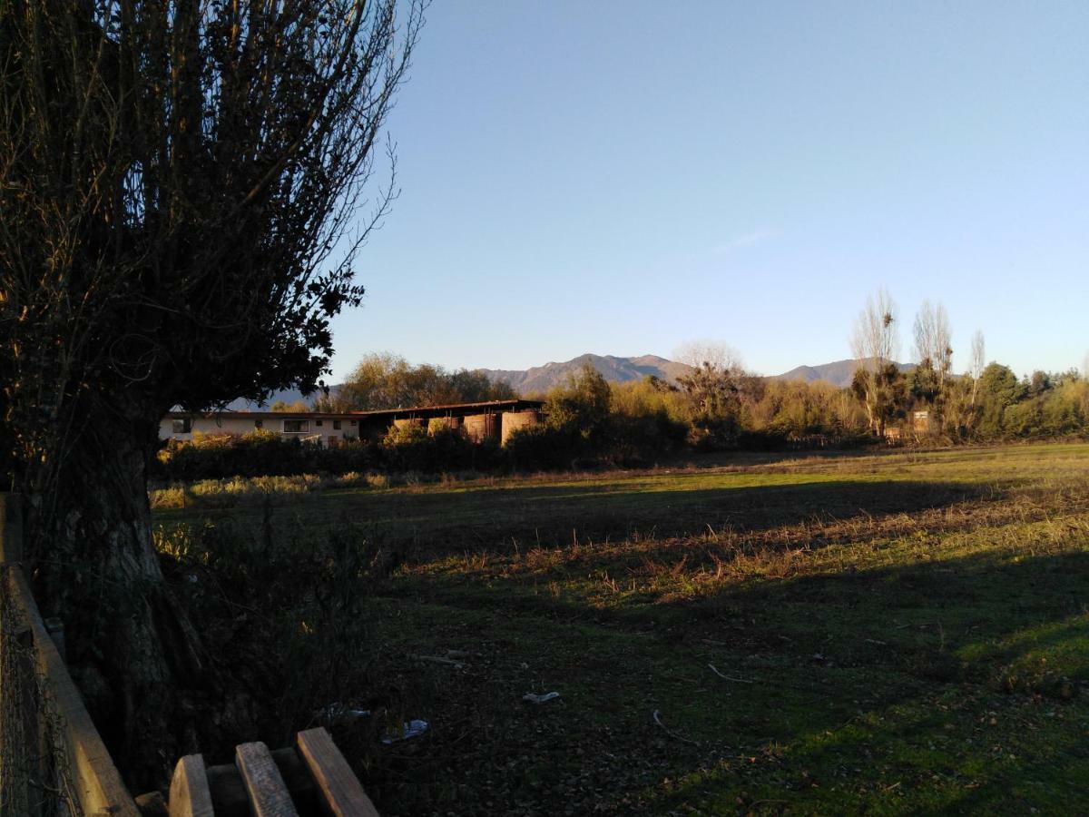 Tiny Colchagua Cabanas Y Padel Appartement Santa Cruz Buitenkant foto